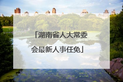 湖南省人大常委会最新人事任免