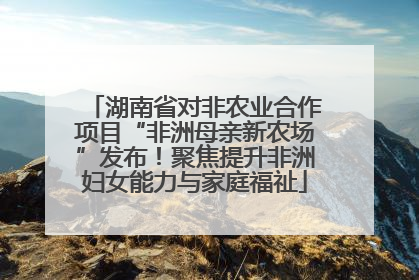湖南省对非农业合作项目“非洲母亲新农场”发布！聚焦提升非洲妇女能力与家庭福祉
