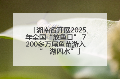 湖南省开展2025年全国“放鱼日” 7200多万尾鱼苗游入“一湖四水”