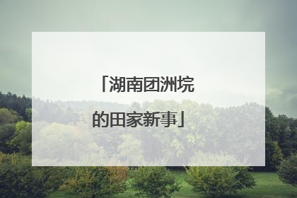 湖南团洲垸的田家新事