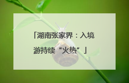 湖南张家界：入境游持续“火热”