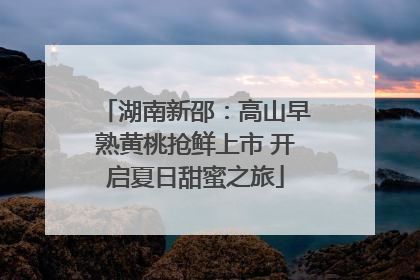 湖南新邵：高山早熟黄桃抢鲜上市 开启夏日甜蜜之旅