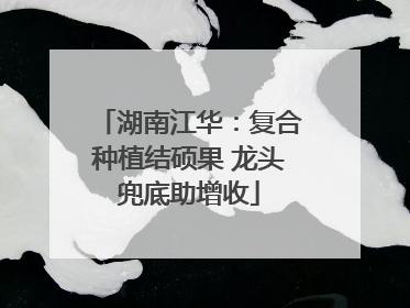 湖南江华：复合种植结硕果 龙头兜底助增收