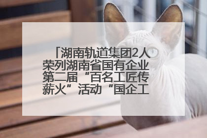 湖南轨道集团2人荣列湖南省国有企业第二届“百名工匠传薪火”活动“国企工匠”人才宣传名单