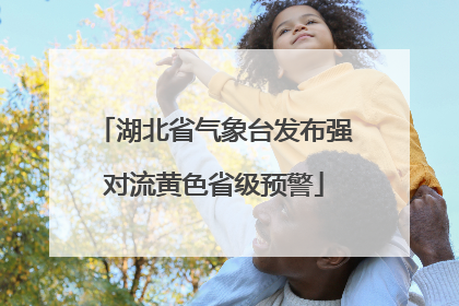 湖北省气象台发布强对流黄色省级预警