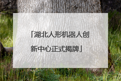 湖北人形机器人创新中心正式揭牌