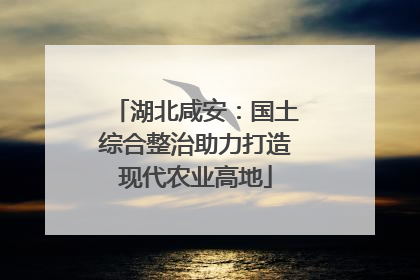 湖北咸安：国土综合整治助力打造现代农业高地
