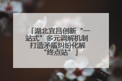 湖北宜昌创新“一站式”多元调解机制 打造矛盾纠纷化解“终点站”