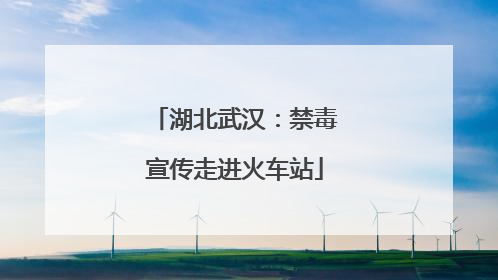 湖北武汉：禁毒宣传走进火车站