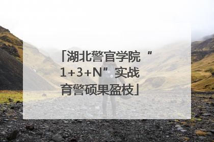 湖北警官学院“1+3+N”实战育警硕果盈枝