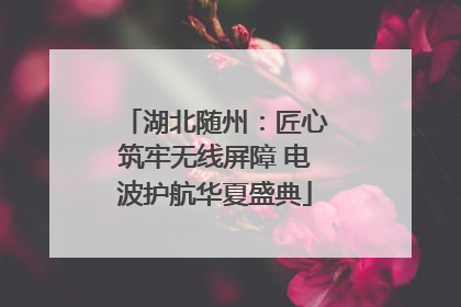 湖北随州：匠心筑牢无线屏障 电波护航华夏盛典