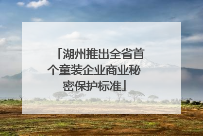 湖州推出全省首个童装企业商业秘密保护标准