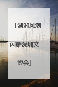湖湘风潮闪耀深圳文博会