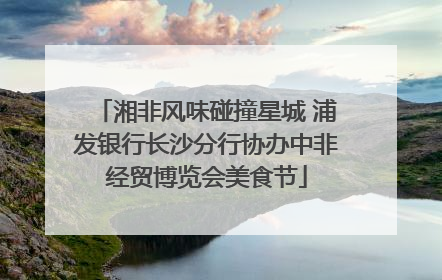 湘非风味碰撞星城 浦发银行长沙分行协办中非经贸博览会美食节