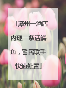 漳州一酒店内现一条活鳄鱼，警民联手快速处置