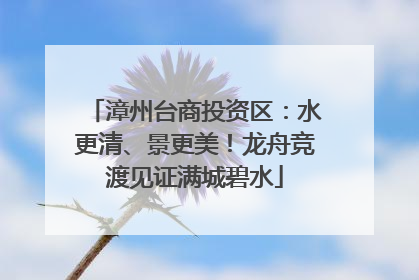 漳州台商投资区：水更清、景更美！龙舟竞渡见证满城碧水