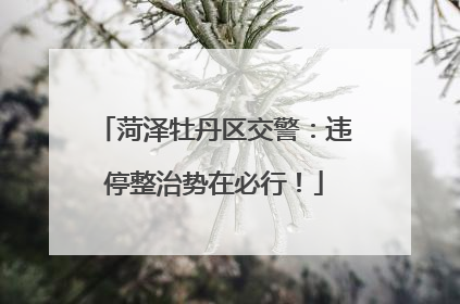 菏泽牡丹区交警：违停整治势在必行！