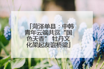 菏泽单县：中韩青年云端共赏“国色天香” 牡丹文化架起友谊桥梁