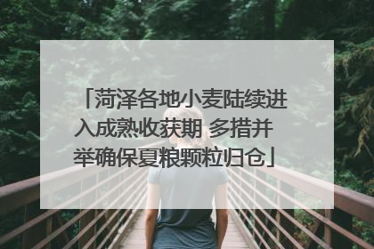 菏泽各地小麦陆续进入成熟收获期 多措并举确保夏粮颗粒归仓
