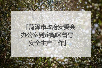 菏泽市政府安委会办公室到定陶区督导安全生产工作
