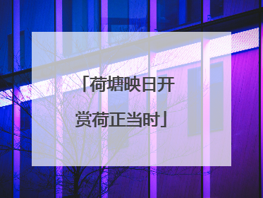 荷塘映日开 赏荷正当时