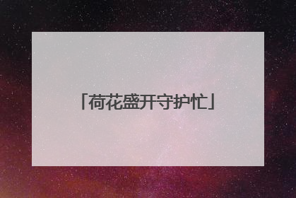 荷花盛开守护忙