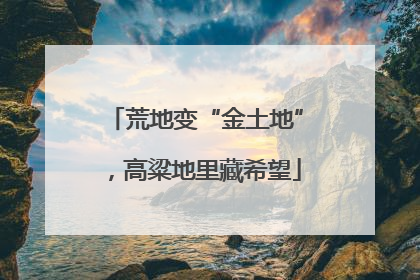 荒地变“金土地”，高粱地里藏希望
