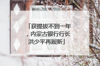 获提拔不到一年，内蒙古银行行长洪少平再履新
