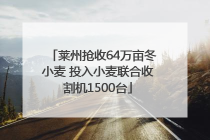 莱州抢收64万亩冬小麦 投入小麦联合收割机1500台