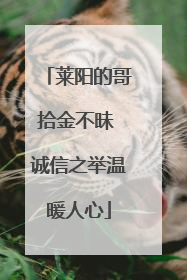 莱阳的哥拾金不昧 诚信之举温暖人心