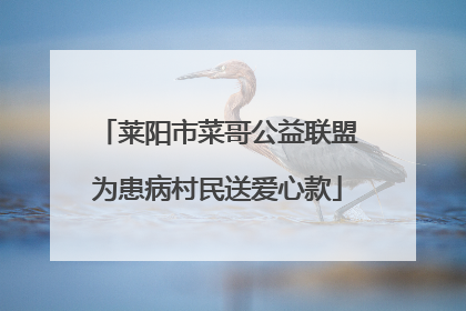 莱阳市菜哥公益联盟为患病村民送爱心款