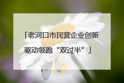 老河口市民营企业创新驱动领跑“双过半”