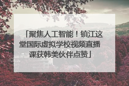 聚焦人工智能！镇江这堂国际虚拟学校视频直播课获韩美伙伴点赞