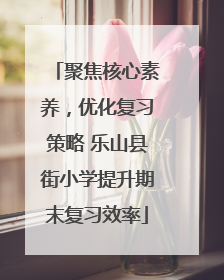 聚焦核心素养，优化复习策略 乐山县街小学提升期末复习效率