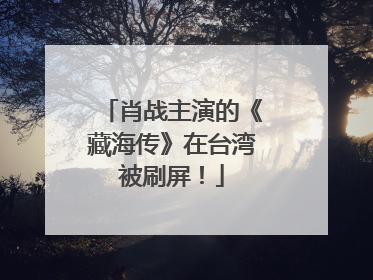 肖战主演的《藏海传》在台湾被刷屏！