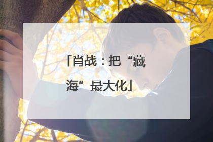 肖战：把“藏海”最大化