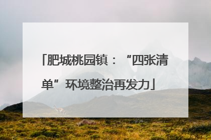 肥城桃园镇：“四张清单”环境整治再发力