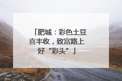 肥城：彩色土豆喜丰收，致富路上好“彩头”