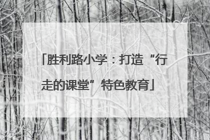胜利路小学：打造“行走的课堂”特色教育