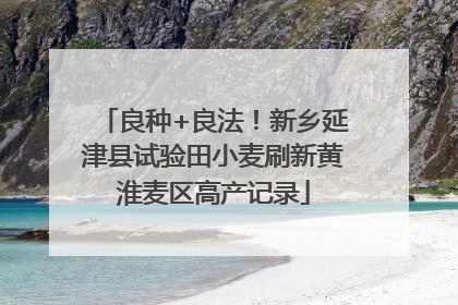 良种+良法！新乡延津县试验田小麦刷新黄淮麦区高产记录