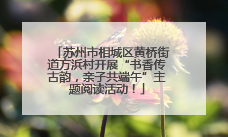 苏州市相城区黄桥街道方浜村开展“书香传古韵，亲子共端午”主题阅读活动！