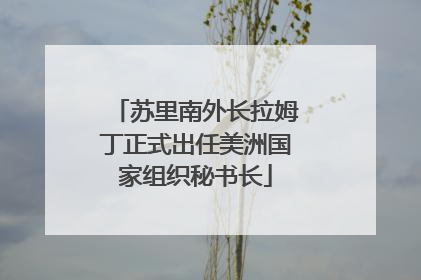 苏里南外长拉姆丁正式出任美洲国家组织秘书长