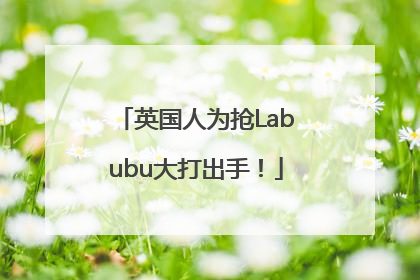 英国人为抢Labubu大打出手！