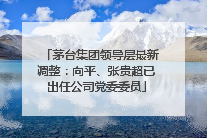 茅台集团领导层最新调整：向平、张贵超已出任公司党委委员