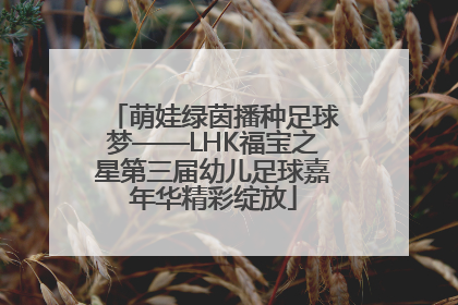 萌娃绿茵播种足球梦——LHK福宝之星第三届幼儿足球嘉年华精彩绽放
