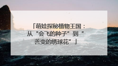 萌娃探秘植物王国：从“会飞的种子”到“善变的绣球花”