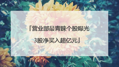 营业部最青睐个股曝光 3股净买入超亿元