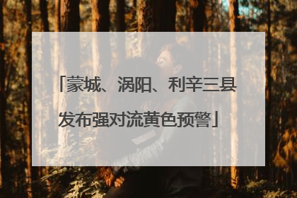 蒙城、涡阳、利辛三县发布强对流黄色预警