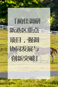 蔺佳调研新港区重点项目，强调协同发展与创新突破