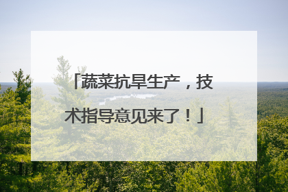 蔬菜抗旱生产，技术指导意见来了！